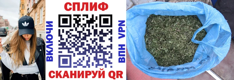 Купить наркотики цена Катав-Ивановск ГАШИШ  Амфетамин  A-PVP  МЕФ  Кокаин  MEGA как войти  Конопля 