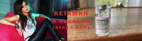 дмт Богданович