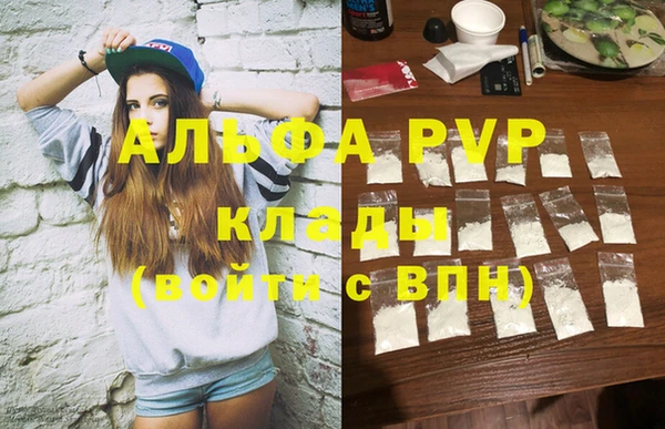 дмт Богданович